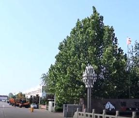 Rhinoceros company